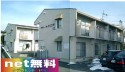 タウニィＧフリコマ