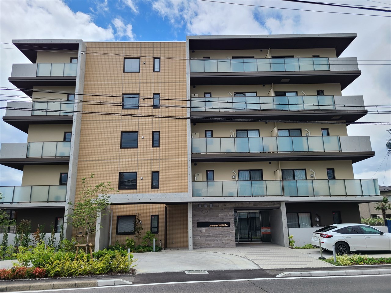 ここに拡大表示されます