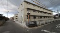 マルベリータウン  シルク 