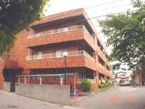 ここに拡大表示されます